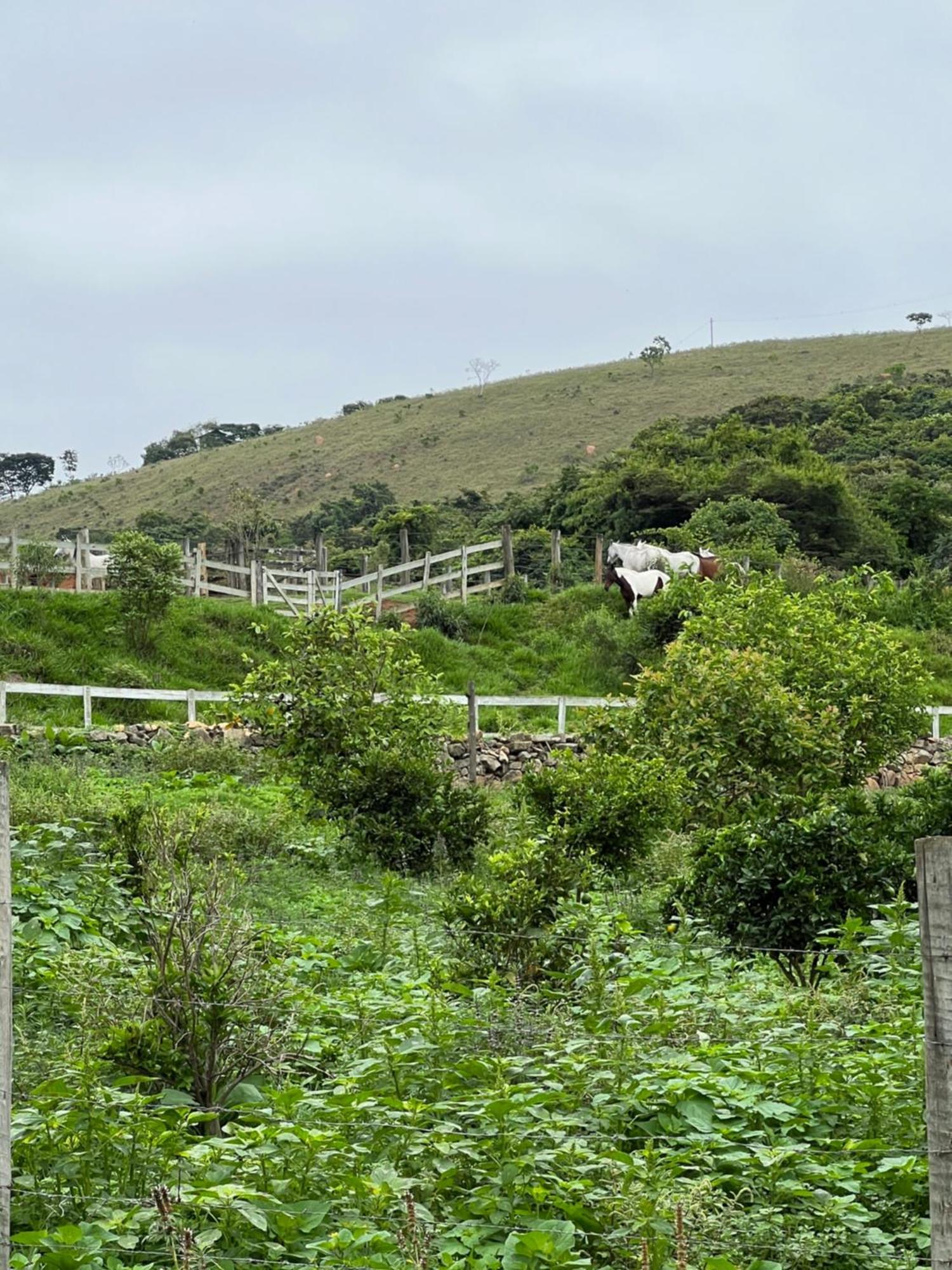 Fazenda Do Engenho Hotel Santa Rita do Rio Abaixo Bagian luar foto
