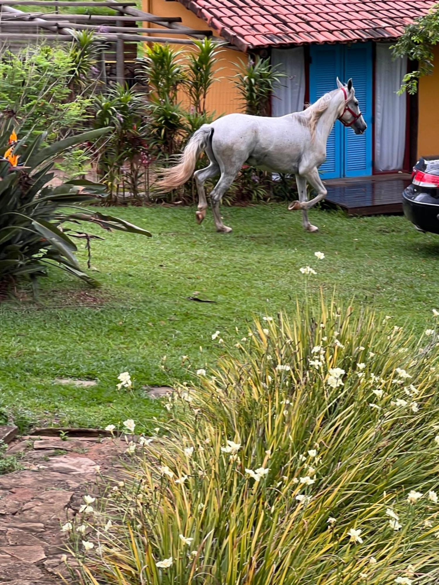 Fazenda Do Engenho Hotel Santa Rita do Rio Abaixo Bagian luar foto